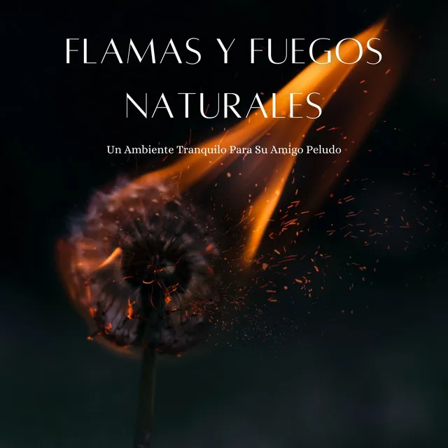 Sonidos de fuego de llamas celestiales