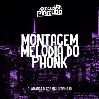 MONTAGEM MELODIA DO PHONK by MC Luizinho JD