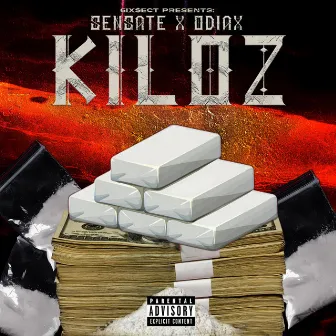 KILOZ by Sensate