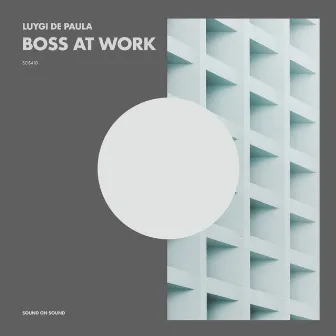 Boss At Work by Luygi de Paula