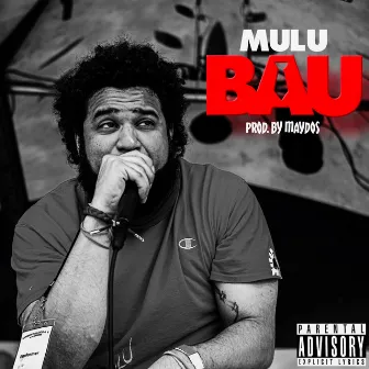 BAU by Mulu