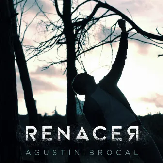 Renacer by Agustín Brocal