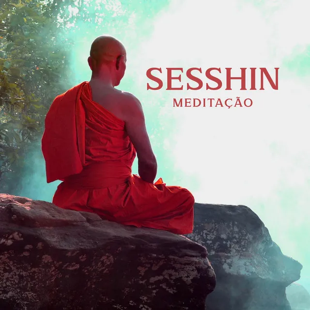 Sesshin Meditação: Conectar, Unificar, Aceitar, Tocar e Continuar, Mente Universal, Grande Mente, Mente Comum, Mente Pequena, Consistindo de Pensamentos, Sentimentos e Emoções