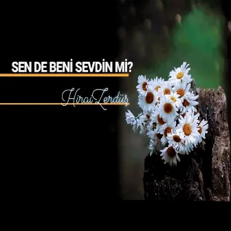 Seven Eder Mi Böyle by Hirai Zerdüş