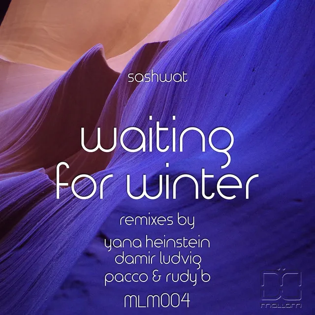 Waiting for Winter - Damir Ludvig Remix