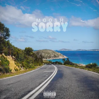 Sorry by MOO$H