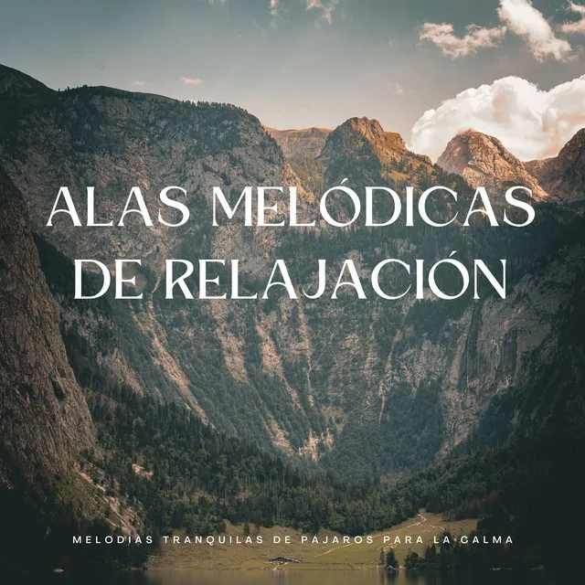 Música relajante relajante