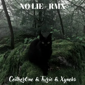 No Lie - RMX by Twric