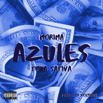 Azules by Morima