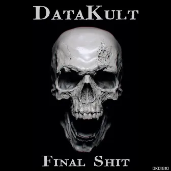 Final Shit by Datakult