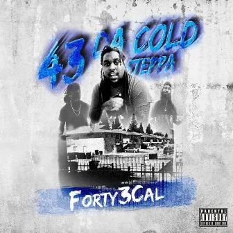 43 Da Cold Steppa by Forty3Cal