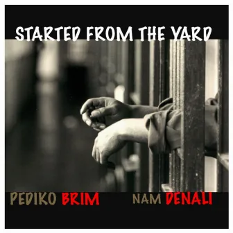 Started from the Yard by Pediko Brim