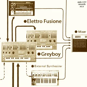 Elettro Fusione by Greyboy