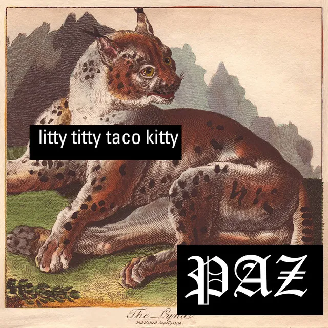 Litty Titty Taco Kitty