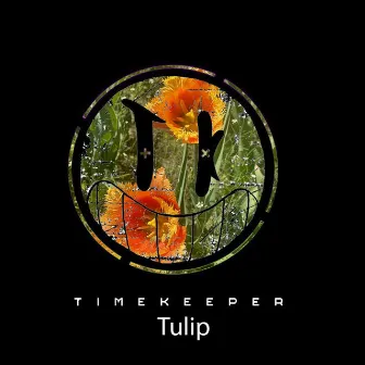 Tulip by Timekeeper