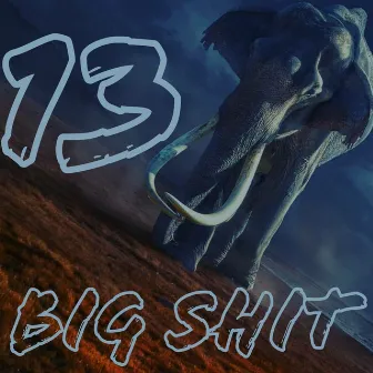 Big Shit by 13