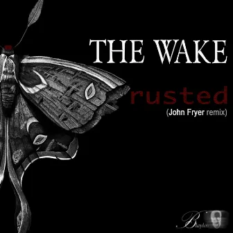 Rusted (John Fryer Remix) by The Wake