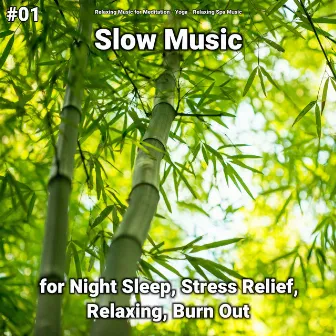 #01 Slow Music for Night Sleep, Stress Relief, Relaxing, Burn Out by Relaxing Music for Meditation