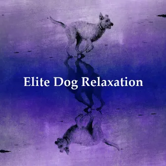 Elite Dog Relaxation by Music For Dog Relaxation