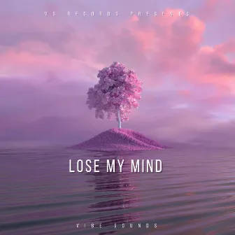 Lose My Mind by Vibe Sounds