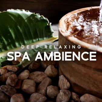 Deep Relaxing Spa Ambience: Healing Therapy Music, Magic Journey, Massage Relaxation Music by Spa Musik Sammlung