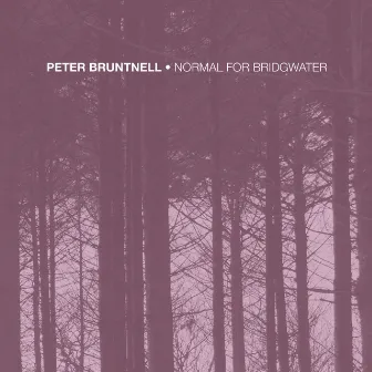 Normal for Bridgwater by Peter Bruntnell