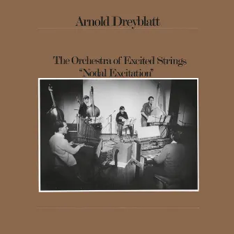 Nodal Excitation by Arnold Dreyblatt