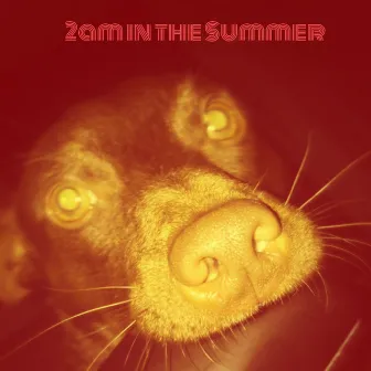 2am in the Summer by Ind!go