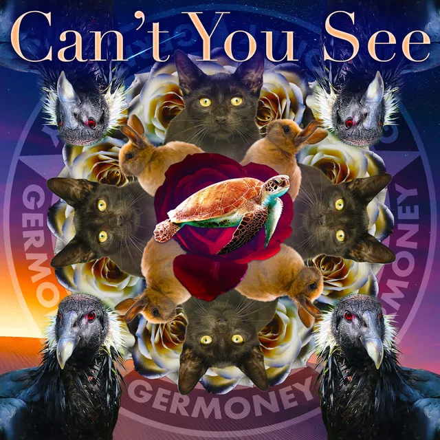 Can't You See