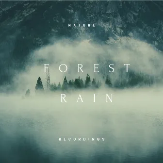 Forest Rain by Nature Recordings