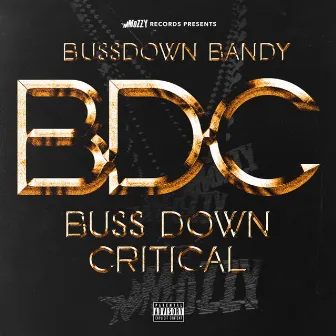 Bussdown Critical BDC by BussDown Bandy