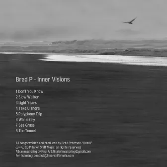 Inner Visions by Brad Peterson