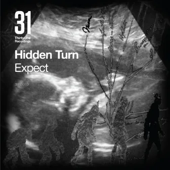 Expect by Hidden Turn