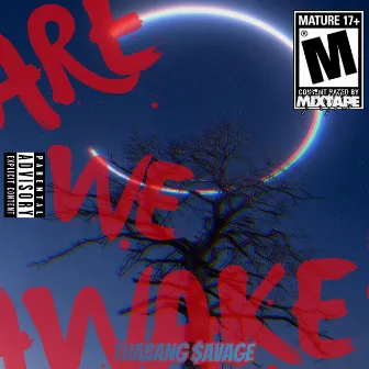 Are We Awake? by Thabang $avage