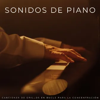 Sonidos De Piano: Canciones De Grillos En Bucle Para La Concentración by Efectos de sonido de la madre naturaleza