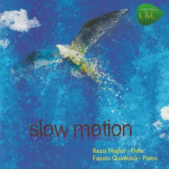 Slow Motion by Fausto Quintabà