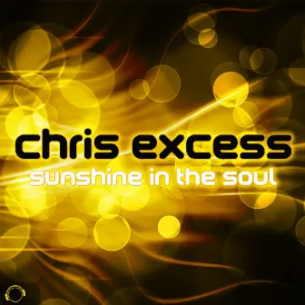 Sunshine in the Soul by Chris Excess