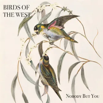 Nobody But You by Birds Of The West