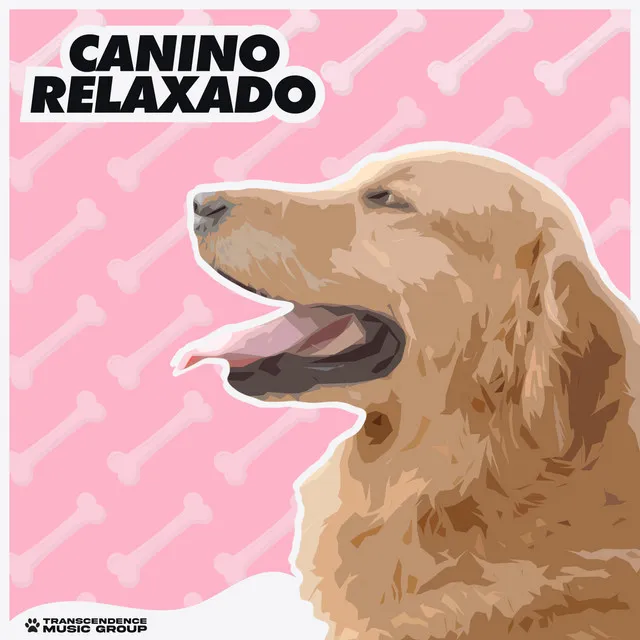 Canino Relaxado