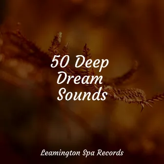 50 Deep Dream Sounds by Instrumental