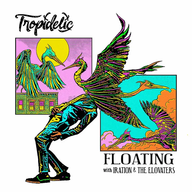 Floating (with Iration & The Elovaters)