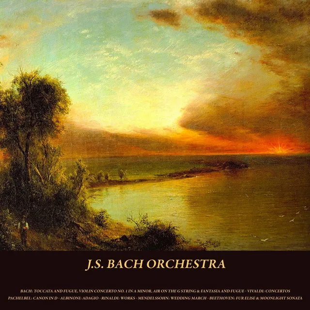 Orchestral Suite in D Major, No. 3, BWV 1068: II. Air