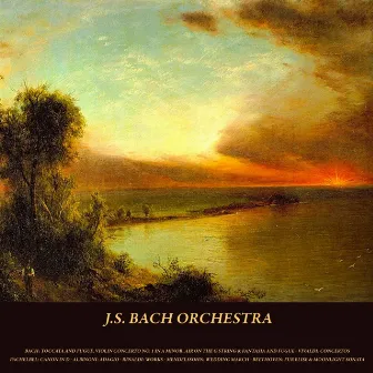 Bach: Toccata and Fugue, Violin Concerto No. 1 in A Minor, Air On the G String & Fantasia and Fugue - Vivaldi: Concertos - Pachelbel: Canon in D - Albinoni: Adagio - Rinaldi: Works - Mendelssohn: Wedding March - Beethoven: Fur Elise & Moonlight Sonata by Walter Rinaldi