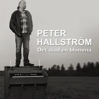 Det stod en blomma by Peter Hallström