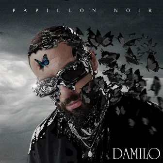 Papillon noir by Damilo