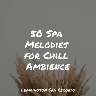 50 Spa Melodies for Chill Ambience by Nature's Symphony