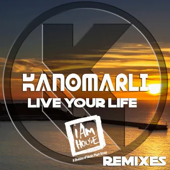 Live Your Life Remixes by Kanomarli