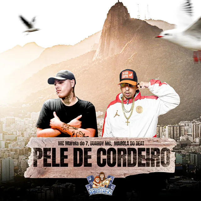 Pele de Cordeiro