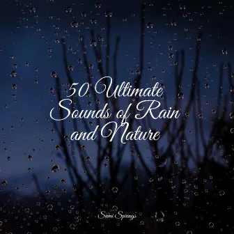 50 Ultimate Sounds of Rain and Nature by Hipnose Natureza Sons Coleção