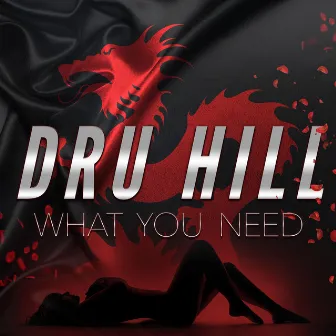 What You Need by Dru Hill